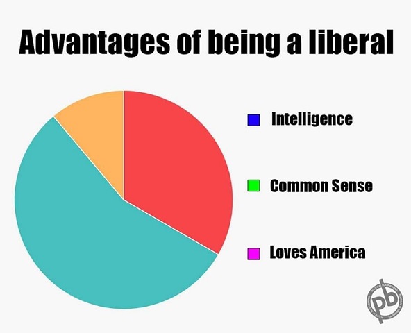 libadvantage.jpg