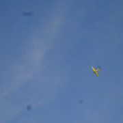 DSC00523