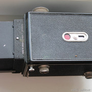 IMG-2546