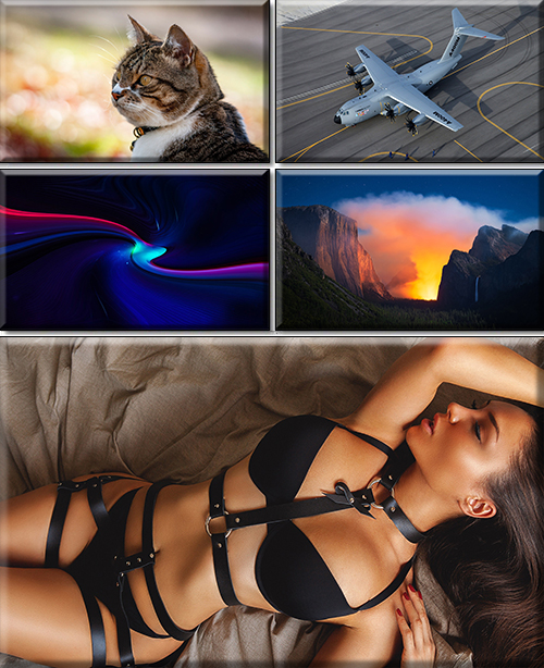 Quality Wallpaper In High Resolution. Part 351