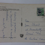 IMG-6422