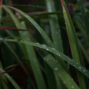 DSC05230