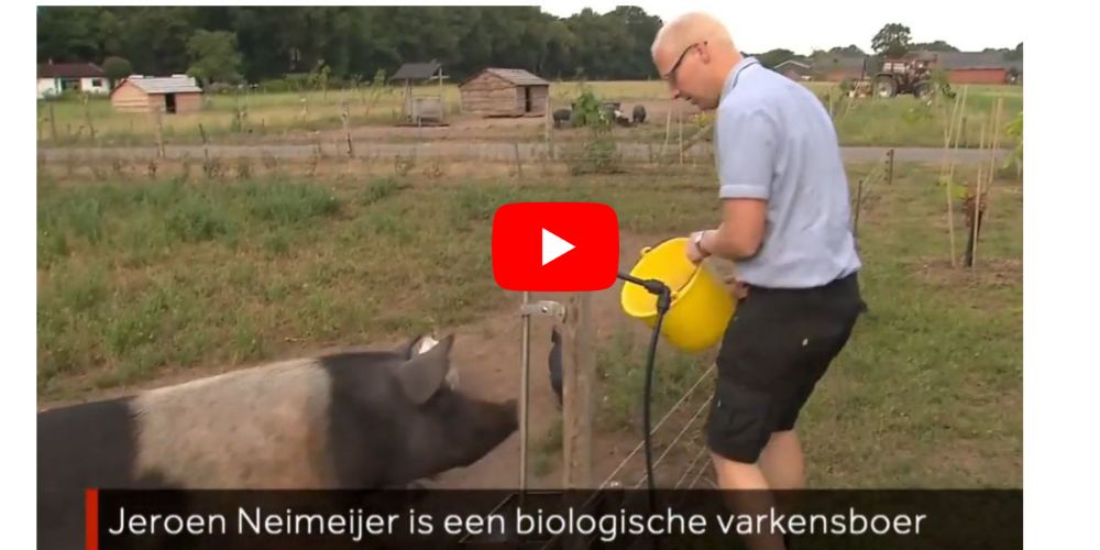 Biologisch varkensboer Jeroen Neimeijer uit Heino - Vleeskopenbijdeboer.nl