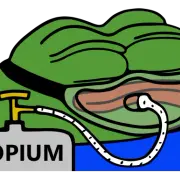 47