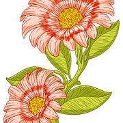 d8f57ed518ab310e85d97ee6584faa92