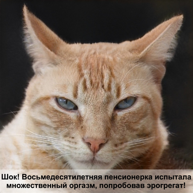 Загружено: Александр Логинов. Россия Оренбург