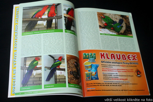 IMG-7833.jpg