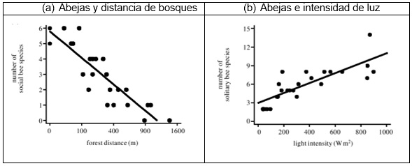 imagen3