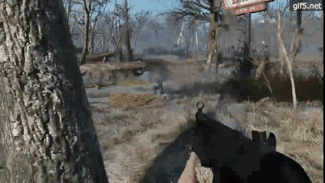 gif5