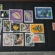 IMG-1970