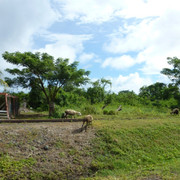 P1070113