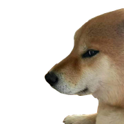 218