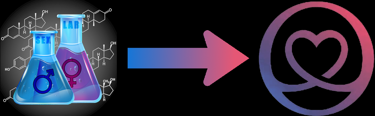 Sex-Lab-To-Ostim.webp