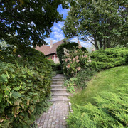 IMG-0730