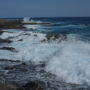 DSCF8206