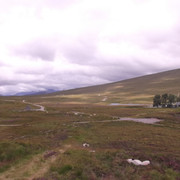 DSCF3030