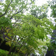 P1230877