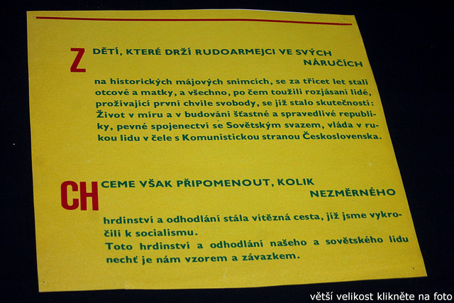 IMG-8623.jpg