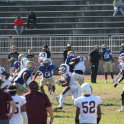 IMG-1137