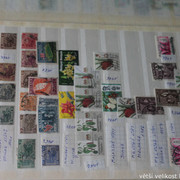 IMG-3741