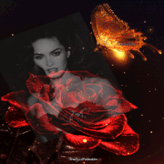 12.gif
