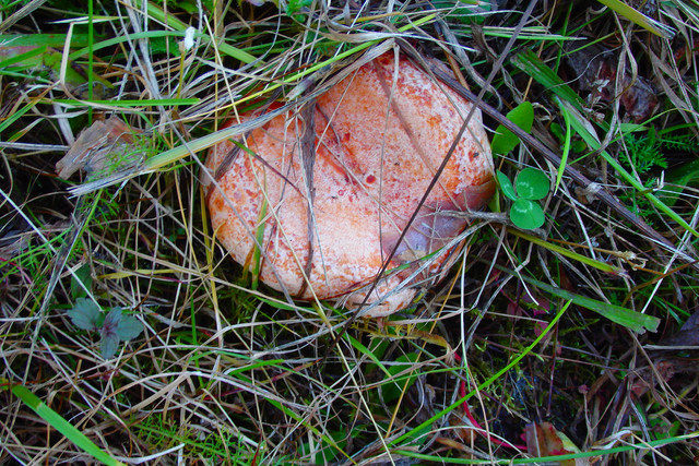 P9260086.jpg