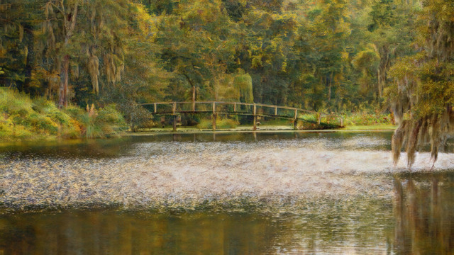 Neural-filter-play