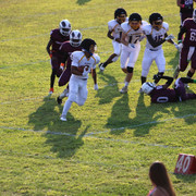 IMG-5198