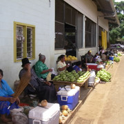 IMGP0330