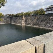 IMG-2992