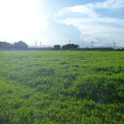 P1340267