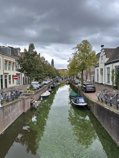 IMG-1579