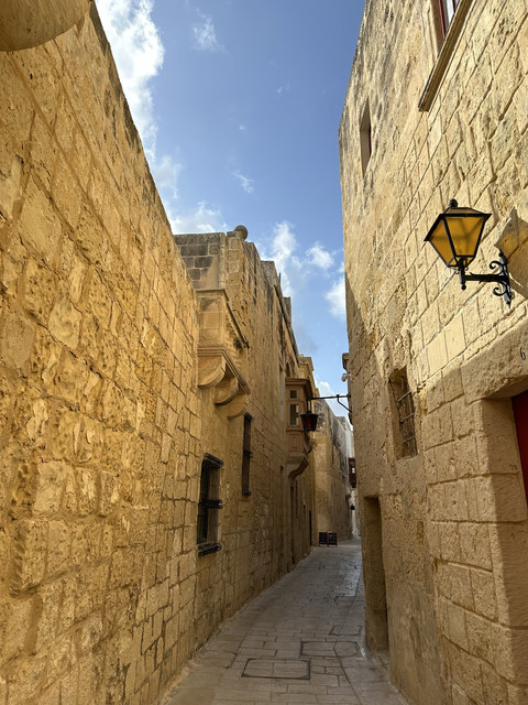 IMG-7674
