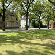 IMG-2504