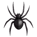 spider-2