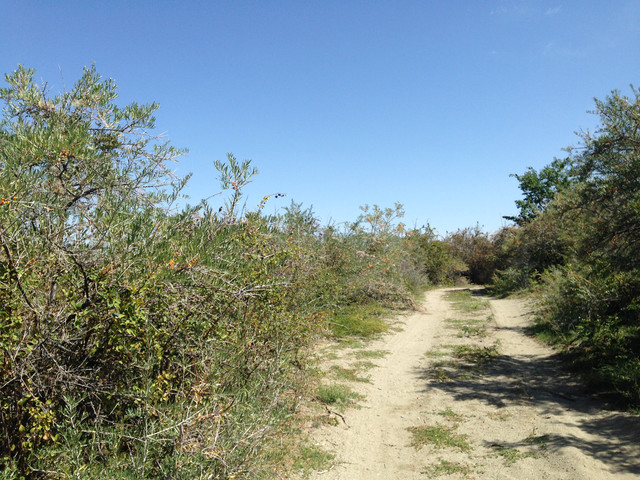 IMG 1544.jpg