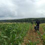 IMG-3953