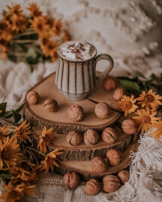 tumblr-8a79fdcd5d1fe113b970798a604fafa9-733a4f0f-540