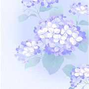 75a276e374a9t