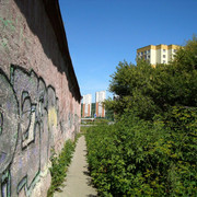 i-11