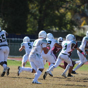 IMG-8301