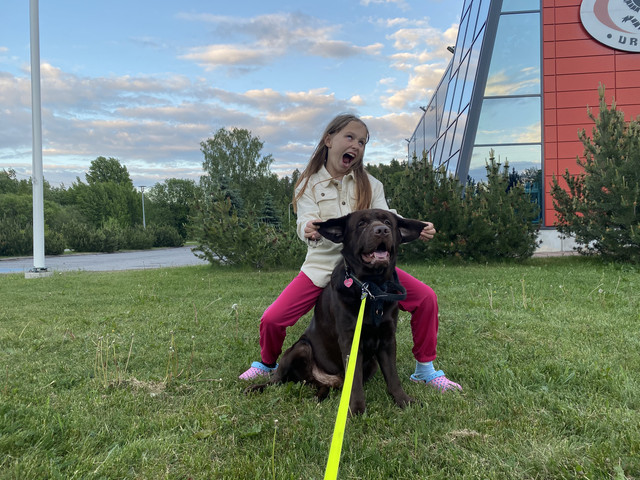 03603884-DE55-4-E8-C-BC04-907-F341-AB370