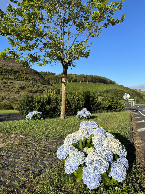 IMG-3563