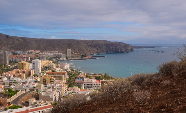 DSCF8770.jpg