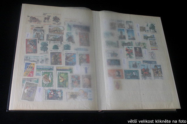 IMG-2568.jpg