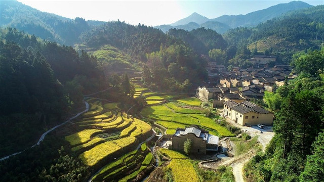 Aerial-view