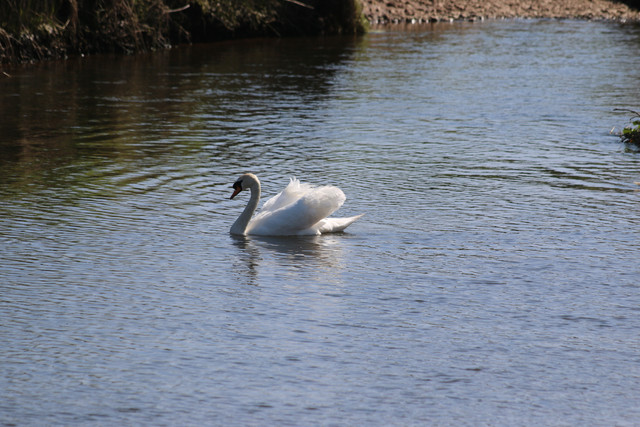 IMG 6325.jpg