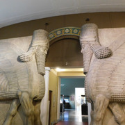 DSCN2909