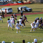 IMG-5224