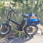 DSC00517